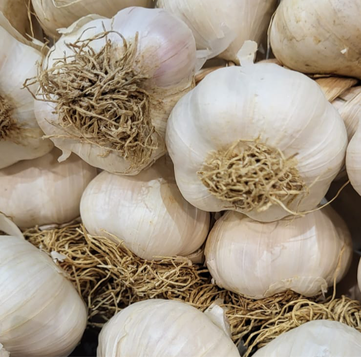Vers gesneden knoflookbolletjes van Taskopru, een product van Mijn winkel, ideaal voor je gezondheid en een krachtige smaak.