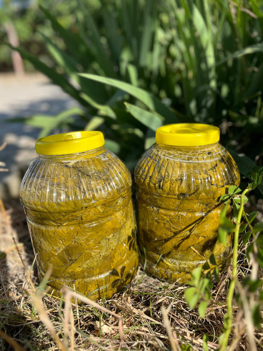 Asma Wijnbladeren uit Tokat Erbag