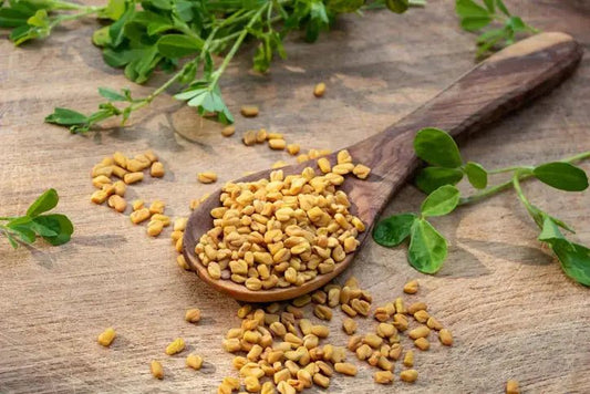 Fenegriek Gemalen - Golden Nuts