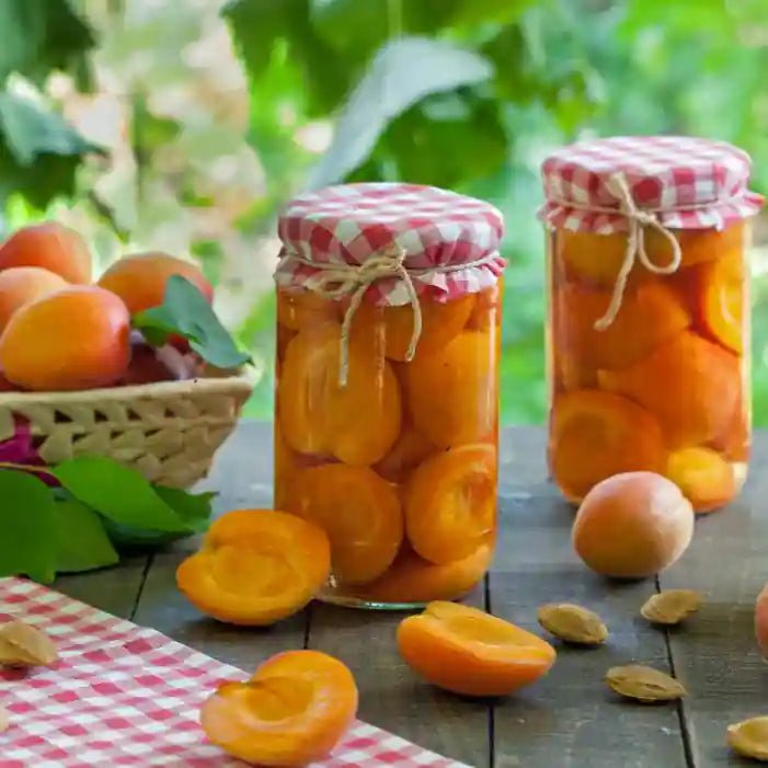 Abrikozen Compote - Golden Nuts